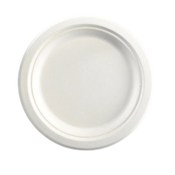 [PLATEDISP] Sugarcane Disposable Plates 9&quot; White (Pack of 50)